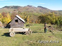 landscape romania piatra craiului