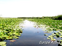 landscape romania delta